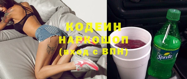 гашик Аркадак