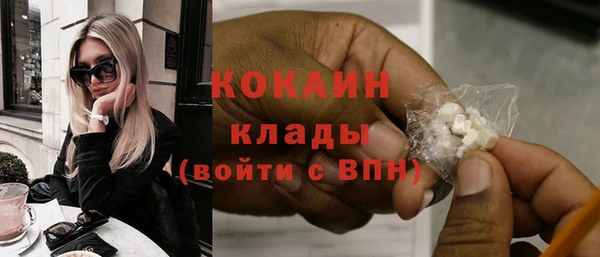 гашик Аркадак